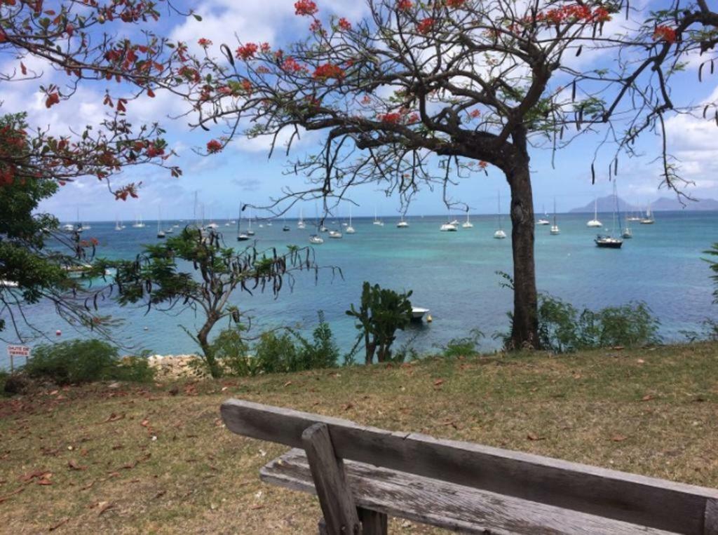 Holidays In Martinique - Ravenala Sainte-Anne Exterior photo